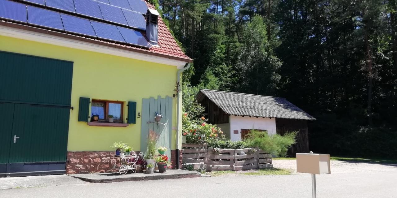 Villa Violeta Dambach Exterior foto